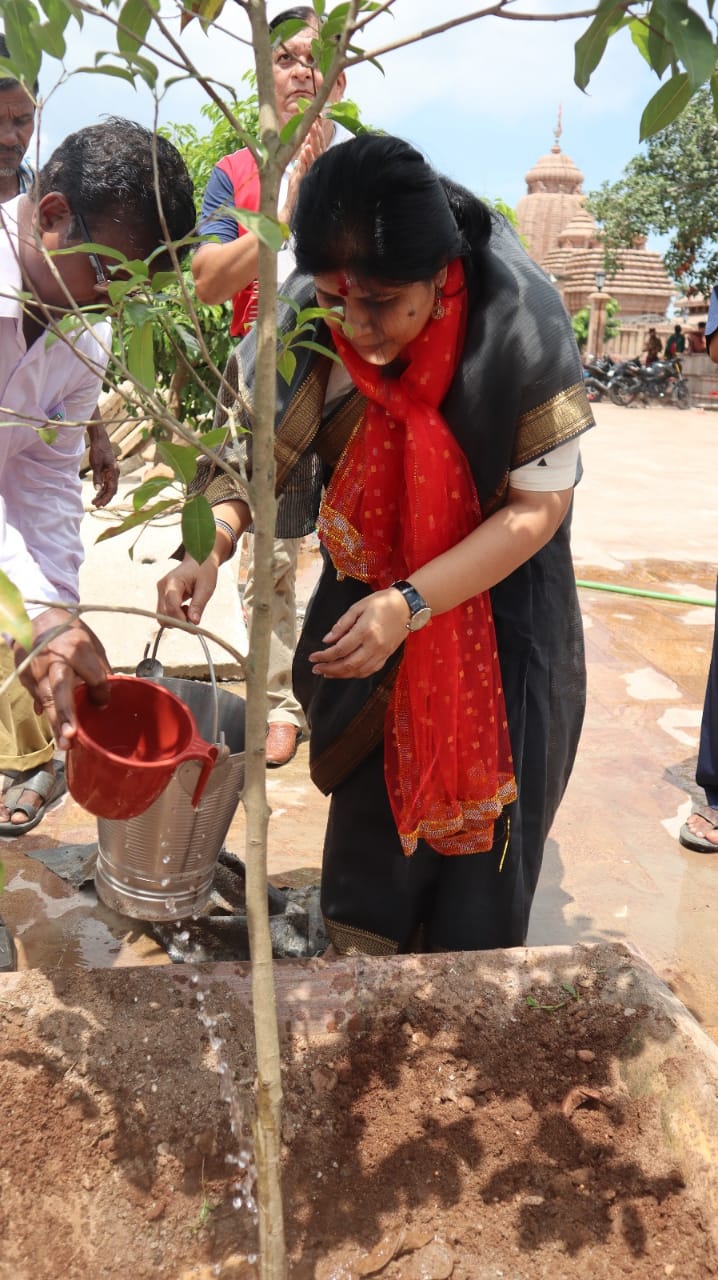 plantation of rdc